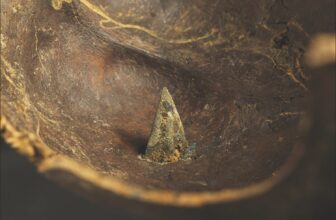 ‘Europe’s Oldest Battlefield’ Just Got Stranger With New Evidence of Outsiders Involved