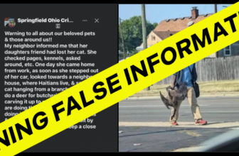 X’s Community Notes feature has one job, and it’s failing to do it