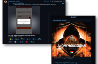 Two Sudanese brothers accused of launching a dangerous series of DDoS attacks