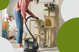 The Extended Discount on Bissell Cleaner Still Makes Me Feel Like It’s Still Amazon Prime Day