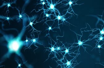 Scientists Revive Pig Brains an Hour After Death With Experimental Method