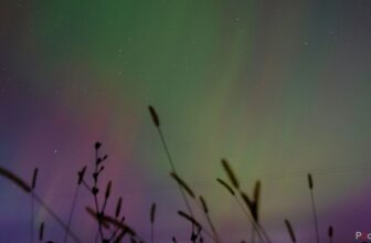 How to use Photoshop AI’s new distraction removal tool