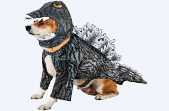 10 Pre-Made Halloween Costumes That Are Actually Cool