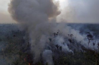 2024 is on its way to being the hottest year ever