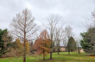 The Little Things Newsletter #444 – Life, laughter, and lots of great food!