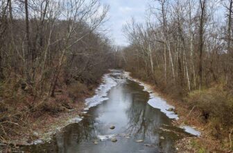 The Little Things Newsletter #446 – Life, laughter, and lots of great food!