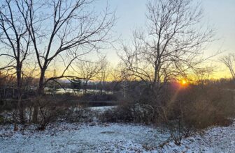 The Little Things Newsletter #448 – Life, laughter, and lots of great food!