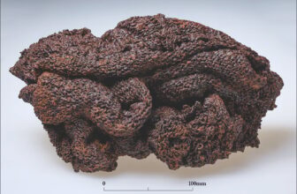 How the Roman Army Repaired Its Armor Far From Home