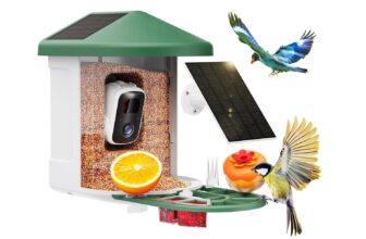 Birdwatching Meets Technology With This AI Bird Feeder Camera at 53% Off for a Smarter New Year