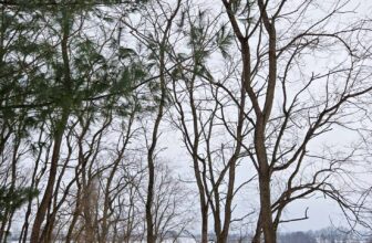 The Little Things Newsletter #453 – Life, laughter, and lots of great food!