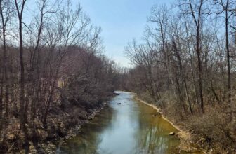 The Little Things Newsletter #460 – Life, laughter, and lots of great food!