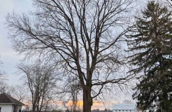 The Little Things Newsletter #462 – Life, laughter, and lots of great food!