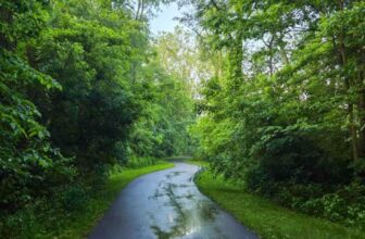 The Little Things Newsletter #472 – Life, laughter, and lots of great food!