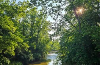 The Little Things Newsletter #473 – Life, laughter, and lots of great food!