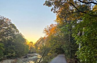 The Little Things Newsletter #491 – Life, laughter, and lots of great food!