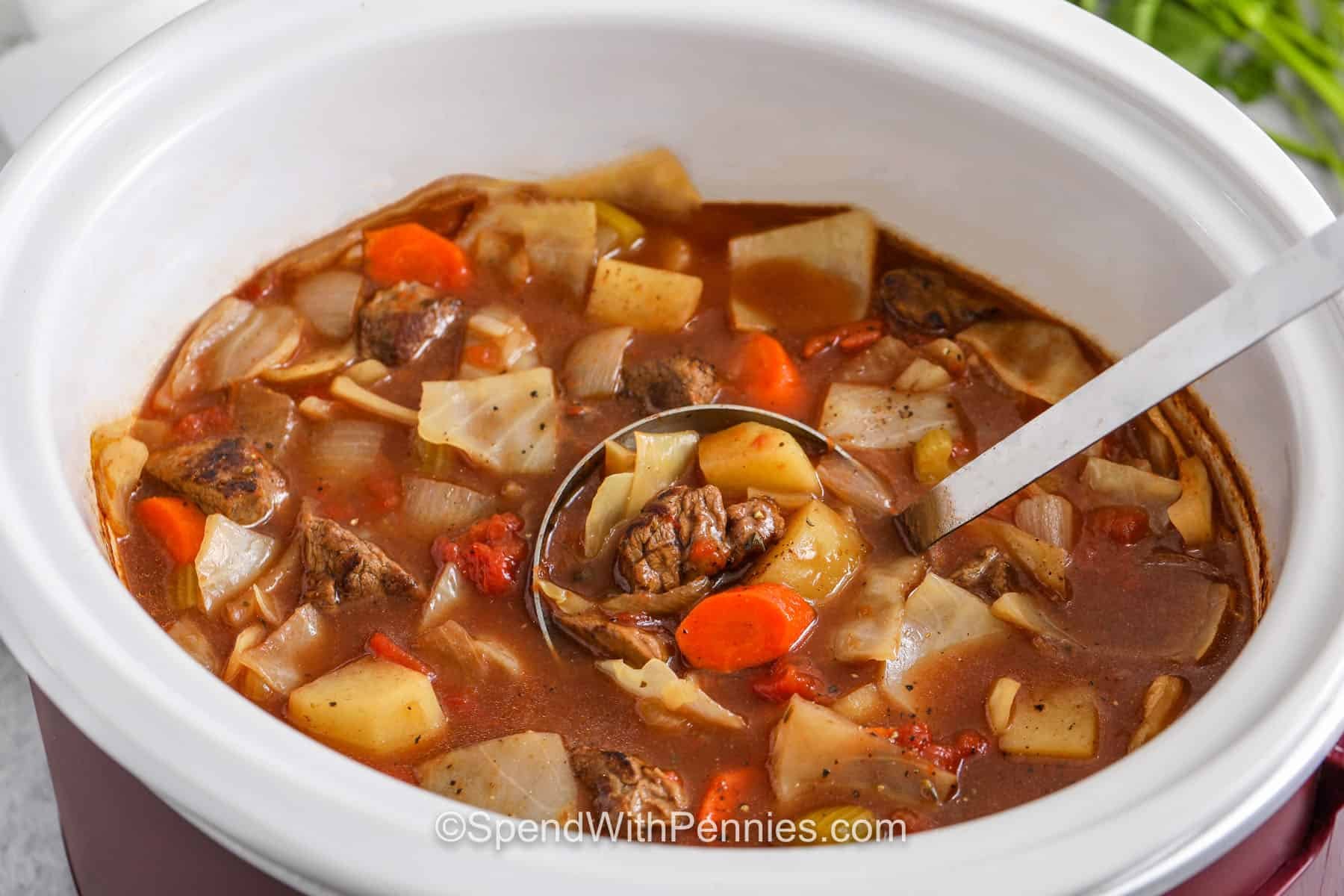 Slow Cooker Beef and Cabbage Stew